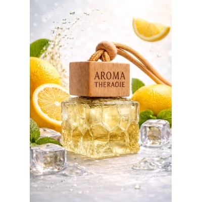 Long lasting aqua car perfume gel suitable for cars SUVs and taxis