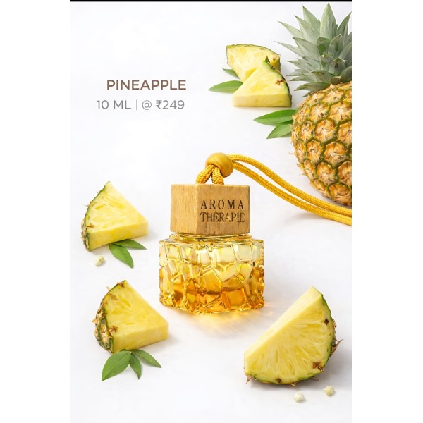 Pineapple Car Diffuser for Cab Drivers in Coimbatore